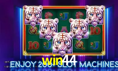 A Emoção da Loteria na win44: Uma Chance de Mudança de Vida